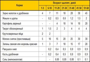 Можно кормить бройлеров хлебом