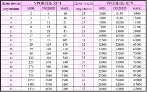 Хгч вырос а потом упал в начале беременности