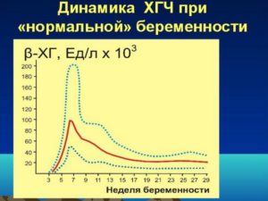 При неразвивающейся беременности хгч