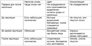 При овуляции кровить может