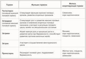 Гормоны в женском организме и их роль