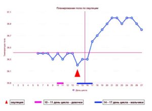 Па в день овуляции