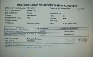 Можно ли по анализу крови узнать пол ребенка