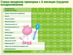 Прикорм 7 месячного ребенка