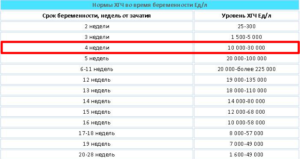 Хгч 4 неделя беременности