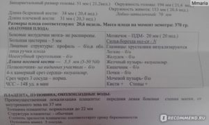 Анализ околоплодных вод при беременности после 35 лет