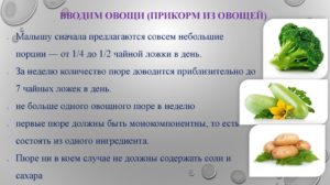 С каких овощей начинать прикорм в 6 месяцев