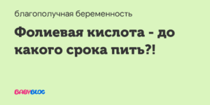 До какого срока при беременности пьют фолиевую кислоту