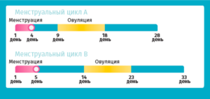 Как рассчитать задержку месячных