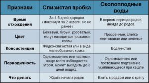 Если отошла пробка через сколько начнутся схватки