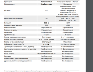 Норма энтерококков в моче