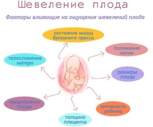 Первые шевеления какие они