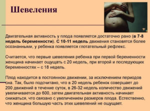 Нет шевелений 18 недель