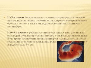 Симптомы на 6 неделе беременности