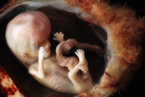 Можно ли на 13 неделе чувствовать шевеления
