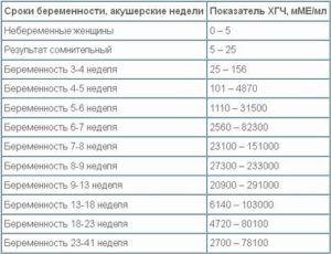 25 акушерских недель беременности