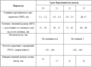 Первое плановое узи при беременности во сколько недель