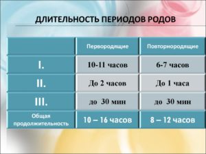 Первая фаза родов сколько длится