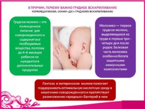Комаровский грудное вскармливание новорожденного