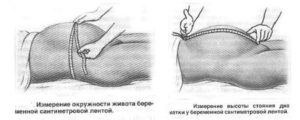 Окружность живота беременной измеряется