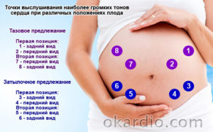 Можно ли услышать сердцебиение плода в домашних условиях