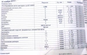 Инфекция при беременности в моче