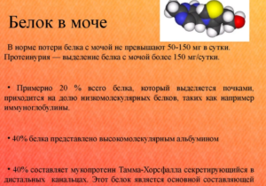 Белок в моче при беременности в 36 недель