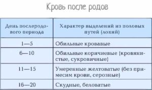 После родов кровь сколько