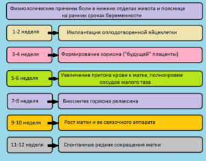 При беременности режет низ живота