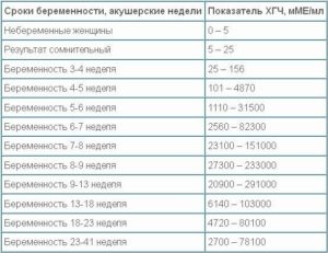 Срок 6 акушерских недель беременности