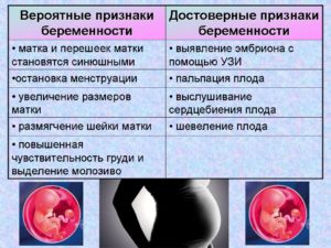 Могут ли идти месячные при беременности и сколько