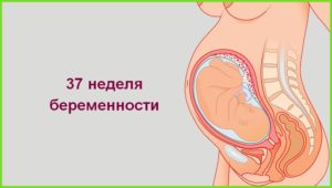 37 недель беременности вторая беременность