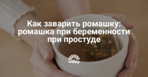 Ромашка беременным при простуде