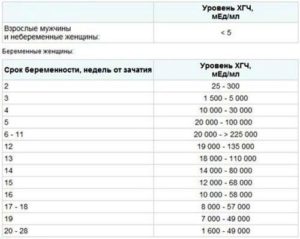 Хгч повышен но беременности нет