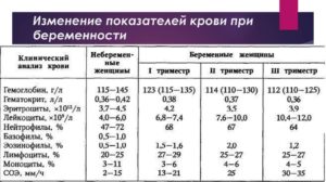 Биохимический анализ крови при беременности