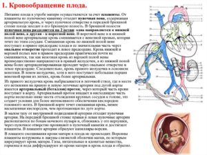 Когда у матери и плода появляется общий кровоток