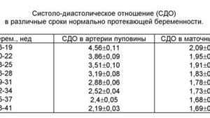 Кровоток в артерии пуповины норма в 27 недель