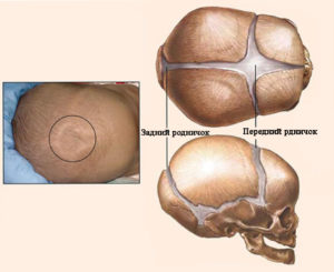 Быстро закрывается родничок у новорожденного