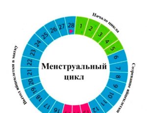 В овуляцию начались месячные