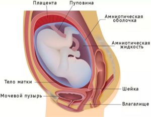 При беременности недержание мочи