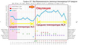 Базальная температура во время месячных при беременности