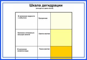 У ребенка моча темно желтая