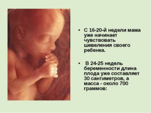 Шевеления в 16 недель