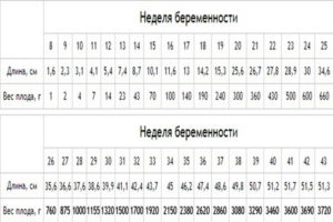 Размеры плода по неделям беременности по узи таблица