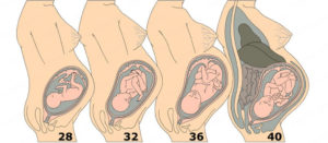40 и 3 дня беременности