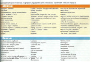 Какой сыр можно кормящей маме в первый месяц