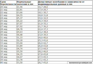 Толщина плаценты 20 мм