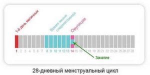 Можно ли забеременеть месячных в последние дни месячных