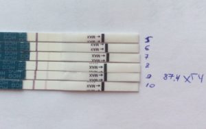4 день подсадки эмбрионов