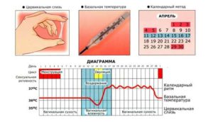 Можно ли забеременеть в овуляцию при прерванном акте